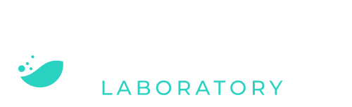 logo home3