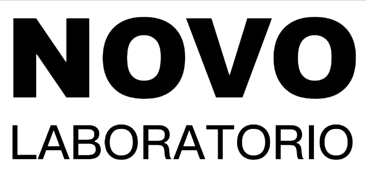 Logo Novo 2